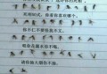 给蚊子的一封信
